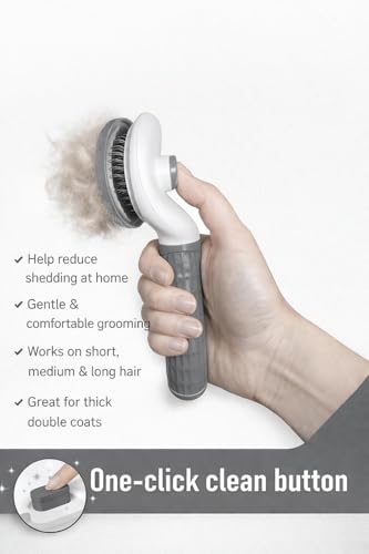 Self Cleaning Slicker Brush for Dogs & Cats – Deshedding Grooming Tool with One Click Hair Removal – Gentle for Sensitive Skin - color: GREY