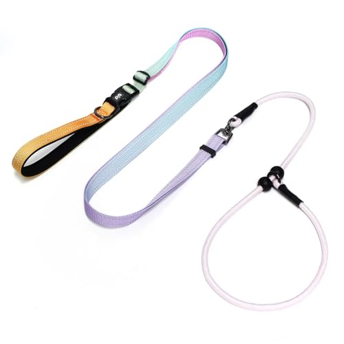 QQPETS Adjustable Slip Lead Dog Leash, Hands Free Waist Leash for Dog Walking, Reflective Training Lead with 360° Swivel Anti-Tangle, 4-7 ft Length for All Breeds - color: Color Gradient