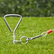 Spiral Dog Tie Out Stake, Set of 2