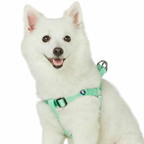 Blueberry Pet Essentials Step-in Dog Harness, Small Size | Adjustable Pastel Green Vest | Classic Solid Nylon for Boy & Girl Dogs, Chest Girth 16.5" - 21.5" - color: Pastel Green, size: Small