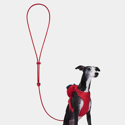 VETRESKA Crossbody Hands Free Dog Leash, 5FT Adjustable Rope Leash for Small Medium Dogs, Waist Multifunctional Leashes for Walking, No Pull Dog Leashes with Bag Dispenser, 2 in1 Walk Set (Strawberry) - color: Strawberry Red