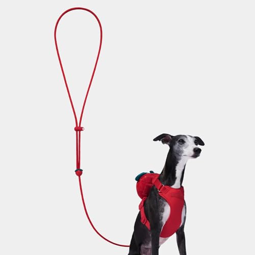 VETRESKA Crossbody Hands Free Dog Leash, 5FT Adjustable Rope Leash for Small Medium Dogs, Waist Multifunctional Leashes for Walking, No Pull Dog Leashes with Bag Dispenser, 2 in1 Walk Set (Strawberry) - color: Strawberry Red