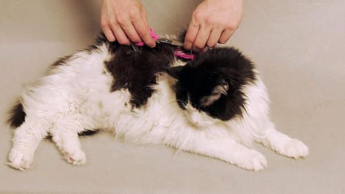 SCAREDY CUT Silent Pet Grooming Kit for Dog, Cat and All Pet Grooming - A Quiet Alternative to Electric Clippers for Sensitive Pets (Left-Handed Pink) - color: 16pc Left Handed Pink