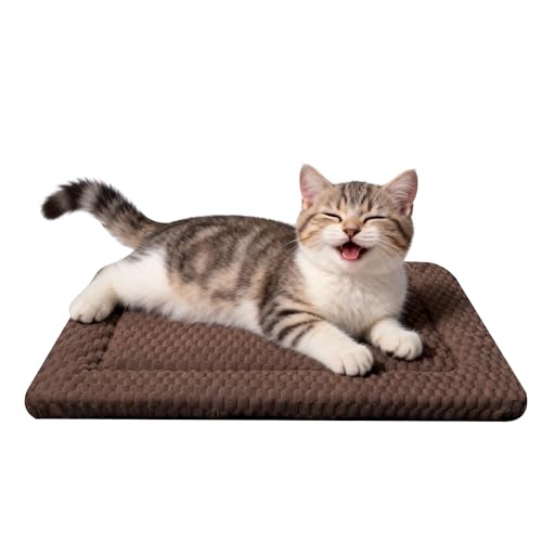 Dog Bed Mat – Soft & Comfortable Dog Kennel Pad for Crate – Durable Crate Bed & Mat for Dogs & Cats (Dark Brown, XS(18"*14"*1.5")) - color: Dark Brown, size: XS(18"*14"*1.5")