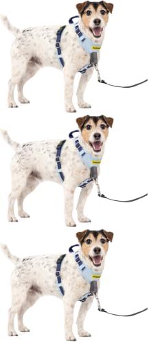 PetSafe Easy Walk Comfort No-Pull Dog Harness Full-Body Padding - Better Walks on The First Use - 5 Points of Adjustment Small/Medium, Blue (Pack of 3) - color: Blue, size: Small (Pack of 3)