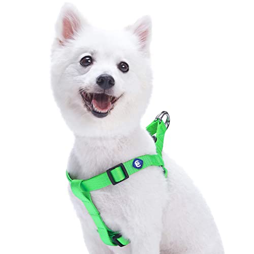 Blueberry Pet Essentials Step-in Dog Harness, Small Size | Adjustable Neon Green Vest | Classic Solid Nylon for Boy & Girl Dogs, Chest Girth 16.5" - 21.5" - color: Neon Green, size: Small