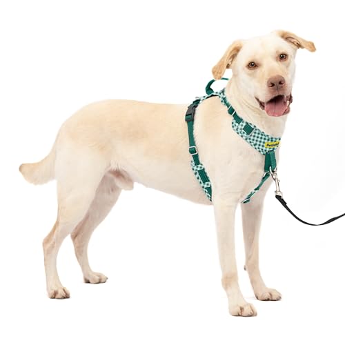 PetSafe Easy Walk Comfort No-Pull Dog Harness Padding - Better Walks on 1st Use - 5 Points of Adjustment Large, Green Gingham - color: Gingham, size: Large