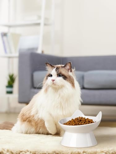 ABRUTY Cat Food Bowl, 5 OZ Ceramic Elevated Kitten Water Bowl, 15° Tilted Raised Pet Feeder, Anti Vomiting and Whisker Friendly Dishes for Fat Faced, Cat, Kitten, Small Dog - color: White Cat, size: 1 Pack