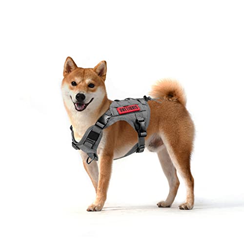 OneTigris Tactical Dog Harness Vest,No-Pull Service Dog Vest with Hook & Loop Panels,Adjustable Dog Vest Harness for Walking Hiking Training(Grey,XS) - color: Grey, size: XS