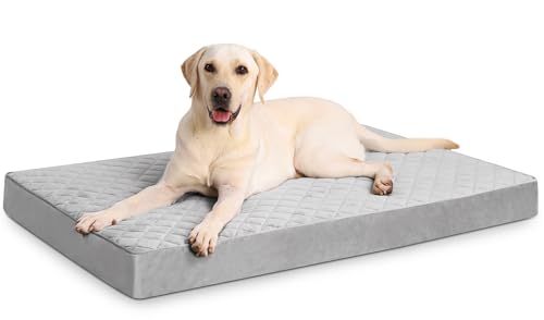 NUPIDA Orthopedic Dog Beds Large Sized Dog Waterproof Pet Mattress with Removable Washable Cover and Non-Slip Bottom, Quilting Mat for Crate, 35x22 Inch, Light Gray - color: Light Gray, size: 35.0"L x 22.0"W x 3.0"Th