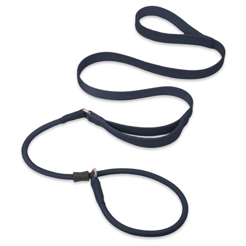 Slip Lead Dog Leash, Dog Training Leash with Double Handle, Soft Leather Slip Leash and Collar, Heavy Duty Nylon Dog Lead, No Pull Walking for Medium Large Small Dogs 5ft Black - color: Black, size: 5ft