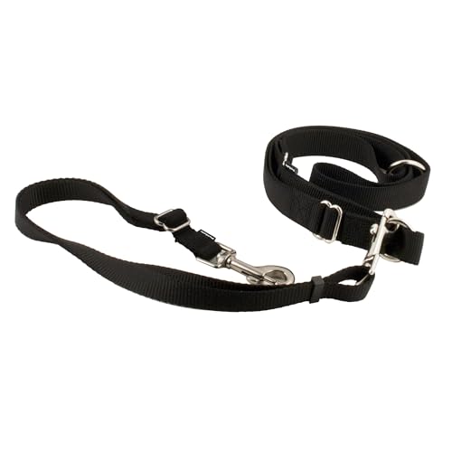 PetSafe Hands Free Adjustable Dog Leash - Great for Running, Jogging, Walking and Hiking - Wear Around the Waist - Black