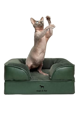 NOAH & PAW Small Dog Bed, 20x15x8 Inch, Cat Bed for Indoor Cats, Orthopedic Eggshell Memory Foam Infused with Cooling Gel, Water Resistant Inner Cover Machine Washable (Faux Leather) - color: Vegan Leather - Green, size: Small
