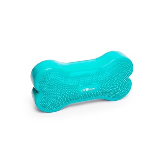 FitPAWS® K9FITbone® - Regular, Aqua | Dog Balance Training Platform & Exercise Equipment | Workout Tool for Strength, Core & Stability - color: Aqua Blue