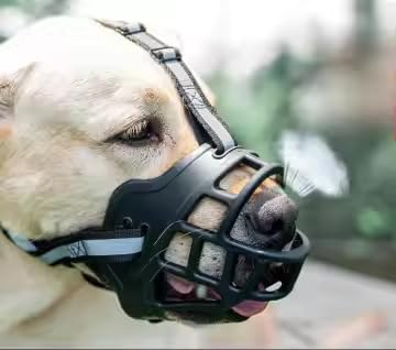 BreatheEZ Dog Muzzle – Soft Silicone Basket Muzzle for Small & Medium Dogs, Breathable Humane Fit, Prevents Biting Chewing Barking, Adjustable for Training Grooming Vet Visits - size: Small