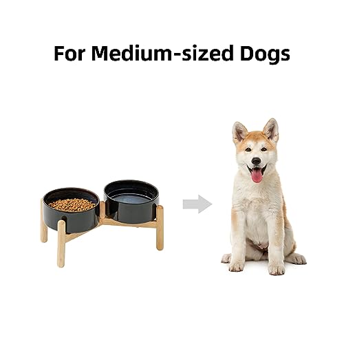 Havniva 6.1inch Ceramic Raised Dog Bowl with Stand, Double Dog Bowls Elevated for Small and Medium Breed Dog Food and Water Bowl Set Non-Slip Dog Dish Large Capacity Feeding Pet Water Bowl - color: 2 Bowls+Stand - Starry Sky, size: 6.1inch