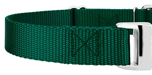 Country Brook Petz - Martingale Dog Collar - Heavy Duty Nylon Adjustable Martingale Dog Collar with Premium Buckle for Small Medium Large Breeds (5/8 Inch, Extra Small, Green) - color: Green, size: Extra Small (Pack of 1)