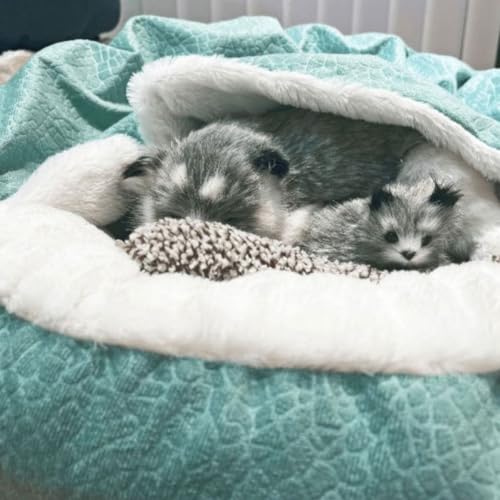 Small Dog Bed with Cover Cave - Covered Round Puppy Bed with Hooded Blanket, Machine Washable Burrow Pet Bed for Small Dogs and Cats, Cozy Cave Dog Bed with Anti-Slip Bottom (Beige,X-Large) - color: Beige, size: X-Large