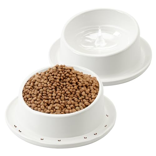 Ant Proof No Spill Ceramic Cat Food Bowls,15° Tilted Neck Support,No Spill,Non-Slip Base,Easy Clean Pet Water Dishes for Cat and Small Dog Indoor or Outdoor Use(2 Pack)