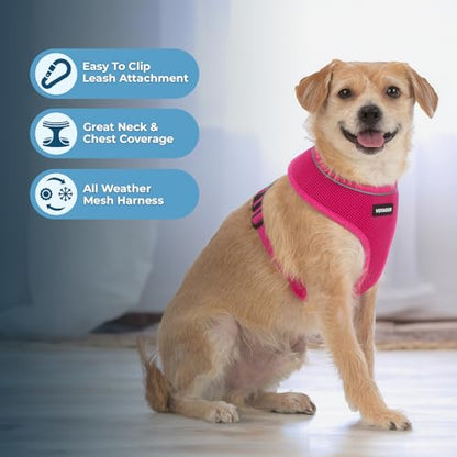 Best Pet Supplies Voyager Aerolite Over the Head Dog Harness, No Pull Breathable Air Mesh Vest, Quick Dry with Reflective Stitching, Adjustable Escape Resistant Harness - Fuchsia, Small - color: Fuchsia, size: S