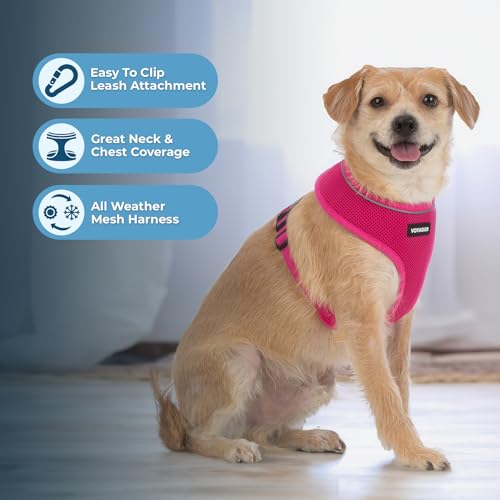 Best Pet Supplies Voyager Aerolite Over the Head Dog Harness, No Pull Breathable Air Mesh Vest, Quick Dry with Reflective Stitching, Adjustable Escape Resistant Harness - Fuchsia, X-Small - color: Fuchsia, size: XS