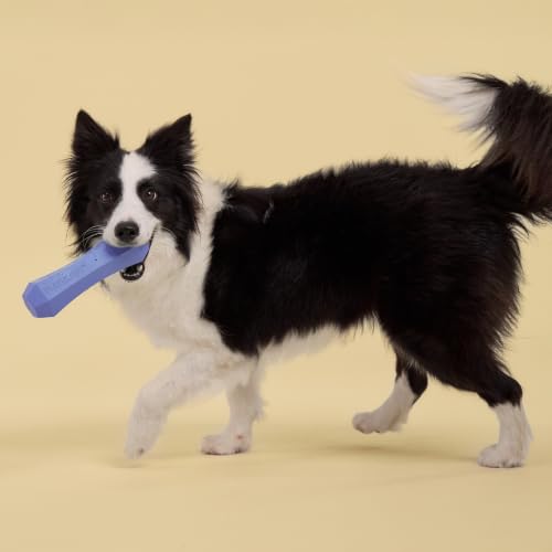Playology Dog Toys | Squeaky Chew Stick for Large Dogs | Blueberry Scented Jumbo Fetch Toy | Squeaky Dog Chew Toy - size: Jumbo, style: Blueberry