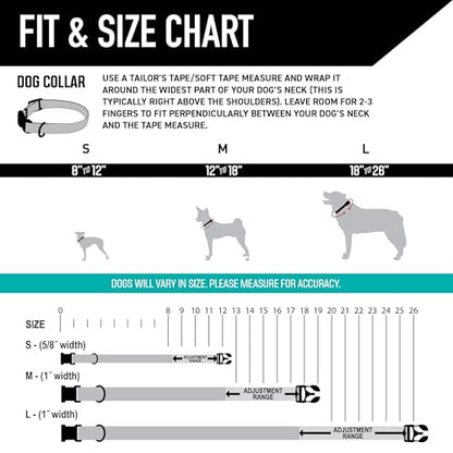 Wolfgang Heavy Duty, Adjustable Dog Collar with Quick Release Nylon Buckle for Walking & Training, LosMuertos Print, Small - color: LosMuertos Print, size: Small (5/8 Inch x 8-12 Inch)