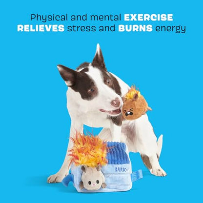 BarkBox Hide N' Squeak Dumpster Fire Dog Toy | 3-in-1 Plush Set with 2 Squeakers, Crinkle & Woven Strap | for Extra Small to Small Dogs - color: Dumpster Fire