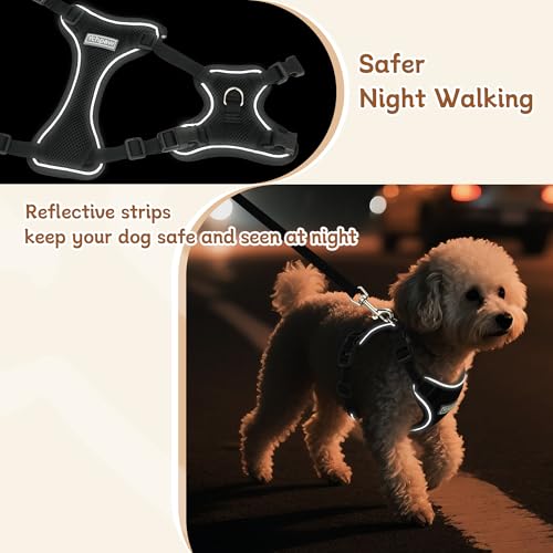 Small Dog Harness and Leash Set, Reflective Soft Breathable Mesh Vest, 3 Buckles, Adjustable Neck and Chest,Step in Dog Harness for Walking, Running, Training, Black, XS - color: Black, size: X-Small