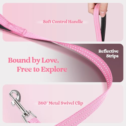 rabbitgoo Dog Harness Small Sized and Leash Set, Step in Soft Light Puppy Vest, Breathable Mesh Pet Harness, Reflective for Safe Easy Walking, Light Pink XXXS - color: Light Pink, size: Xxxs (chest: 10.8 - 11.8")