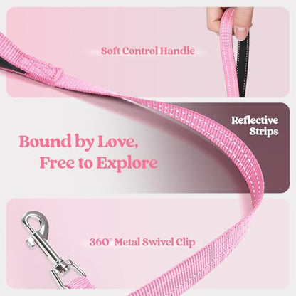 rabbitgoo Dog Harness Small Sized and Leash Set, Step in Soft Light Puppy Vest, Breathable Mesh Pet Harness, Reflective for Safe Easy Walking, Light Pink XXXS - color: Light Pink, size: Xxxs (chest: 10.8 - 11.8")