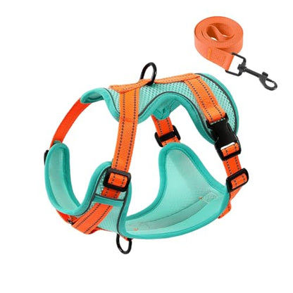 No-Pull Dog Harness with Dog Leash Breathable Mesh Adjustable Soft Padded Pet Vest Reflective for Small/Medium/Large Dogs Walking, Training - color: Blue, size: L
