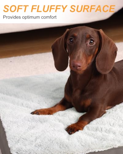 KSIIA Orthopedic Dog Bed, Egg Crate Foam Pet Mat with Removable Cover, Plush Waterproof & Washable Small Dogs Bed, 17x12 Inch, Gray - color: Light Grey, size: 17.0"L x 12.0"W x 2.5"Th