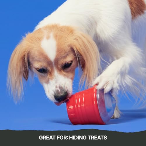 Barkbox Blue Ruffberry Puppy Slushie Dog Toy | Treat-Dispensing Rubber Toy with Wacky Wobble & Bounce | Interactive Chew Toy for Medium Dogs - color: Blue Ruffberry Slushie