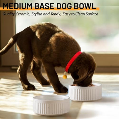 Non-Slip Ceramic Dog Bowls, 5" Dog Food and Water Bowl Set with Silicone Base, 16oz/2cups Weighted Flip-Proof Pet Feeding Bowl for Small Dogs and Cats (Small, White) - color: White, size: 2 Cups