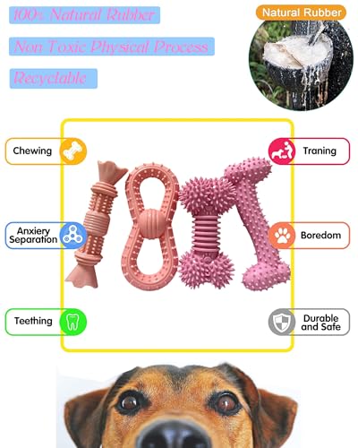 4 Pack Teething Toys Dog Durable Chew Toys Soft Rubber Toy Dog Teeth Cleaning Toothbrush Toy Cute Interactive Toys for Medium Large Breed(Medium,Pink)