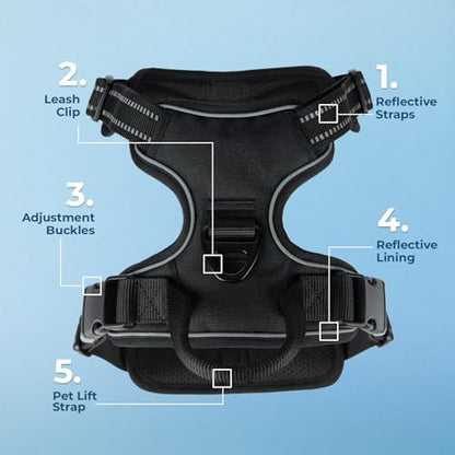 Voyager Dog Harness Dual Leash Attachment No-Pull Control Adjustable Soft but Strong Pet Harness for Medium and Large Dogs with 3M Reflective Technology, Leash Set Black Nylon, XL (Chest: 28-37") - color: Leash Set Black Nylon, size: XL (Chest: 28 - 37")