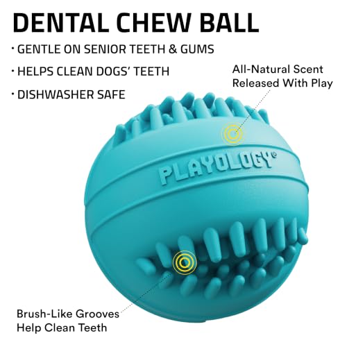 Playology Dog Toys | Dental Chew Ball for Senior Dogs | Peanut Butter Scented Medium Toy | Dog Balls for Healthy Teeth and Gums - size: Medium Chew Ball, style: Peanut Butter
