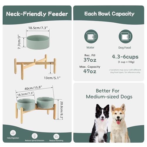 Havniva 7.3inch Ceramic Raised Dog Bowl with Stand, Double Dog Bowls Elevated for Medium Breed Dog Food and Water Bowl Set Non-Slip Dog Dish Large Capacity Feeding Pet Water Bowl - color: 2 Bowls+Stand - Light Green, size: 7.3inch