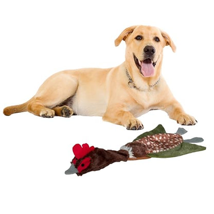 SPOT Skinneeez Crinklers Bird- Stuffing-Free Dog Toy with Crinkle and Squeaker Sounds, Durable Tug Toy for Moderate Chewers, Ideal for Medium and Large Dogs, Assorted Styles, 23 in - style: Large Bird