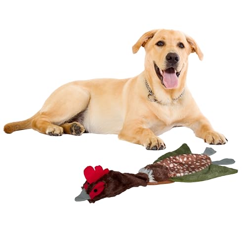 SPOT Skinneeez Crinklers Bird- Stuffing-Free Dog Toy with Crinkle and Squeaker Sounds, Durable Tug Toy for Moderate Chewers, Ideal for Medium and Large Dogs, Assorted Styles, 23 in - style: Large Bird