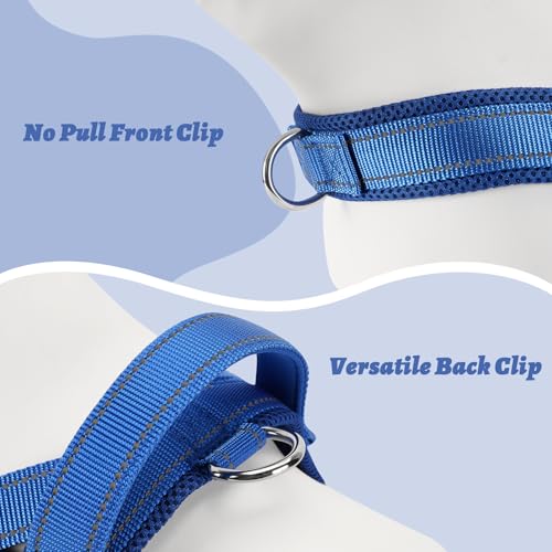 Lightweight Dog Harness for Small Dogs - No Choke Escape-Proof Soft Mesh Reflective Vest Harness with Padded Handle - Adjustable Chest, Lockable Quick Release Buckle Harness, Blue, S - color: Blue, size: Small