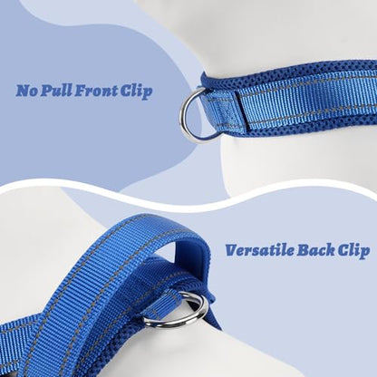 Lightweight Dog Harness for Small Dogs - No Choke Escape-Proof Soft Mesh Reflective Vest Harness with Padded Handle - Adjustable Chest, Lockable Quick Release Buckle Harness, Blue, S - color: Blue, size: Small