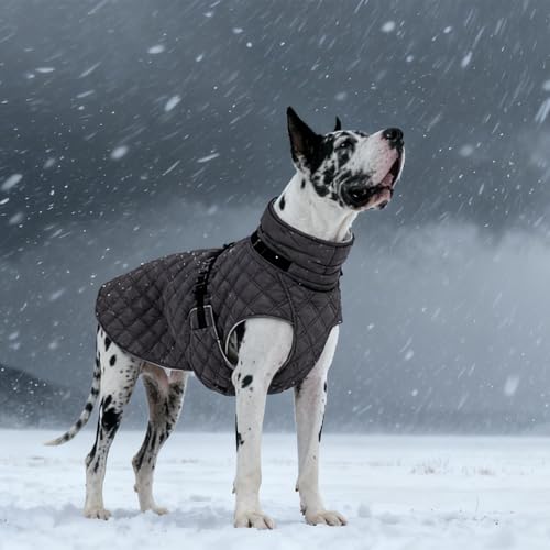 Kuoser Dog Coat Warm Fleece Lining Turtleneck Dog Jacket with Harness Built-in, Adjustable Windproof Cold Weather Coats with Quick Release Buckle Pet Winter Snowsuit for Small Medium Dogs, Grey M - color: Grey, size: Medium (Chest Girth: 20.8")