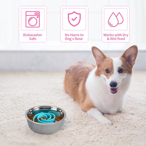 Slow Feeder Dog Bowls Insert, Bestalk Soft Silicone Slow Eating Feeder Insert with Suction Cups for Small, Medium and Large Dogs, Fit into Basic and Elevated Dog Bowls, Teal - color: Teal, size: L