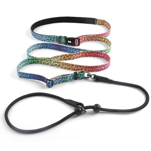 QQPETS Adjustable Slip Lead Dog Leash, Hands Free Waist Leash for Dog Walking, Reflective Training Lead with 360° Swivel Anti-Tangle, 4-7 ft Length for All Breeds - color: Gradient Leopard