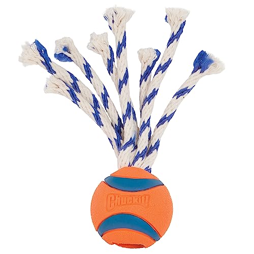 Chuckit! Ultra Toss Dog Toy, Medium Indoor and Outdoor Dog Toy for Dogs 20-60 Pounds - size: Medium, style: Ultra Toss