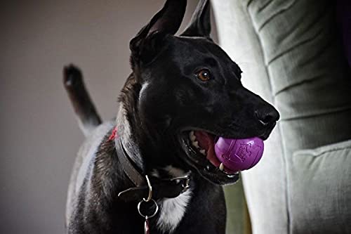 Chew King Fetch Balls Extremely Durable Natural Rubber Toy 2.5 inch, 8-pack (CM-0264-CS01) - color: 8-Pack (2.5" Balls) - Blue, Green, Purple