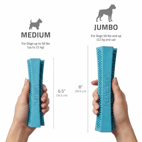 Playology Dog Toys | Dental Chew Stick for Senior Dogs | Peanut Butter Scented Medium Toy | Dog Chew Toy for Healthy Teeth and Gums - size: Medium Chew Stick, style: Peanut Butter
