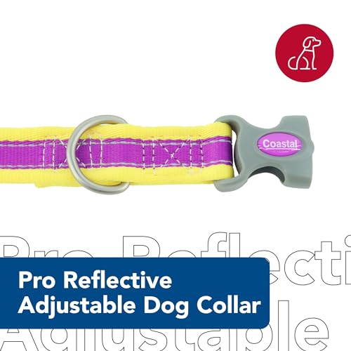 Coastal Pet - Pro - Reflective Adjustable Dog Collar, Purple with Yellow, 1" x 14-20" - color: Purple with Yellow, size: 1" x 14-20" (Pack of 1)